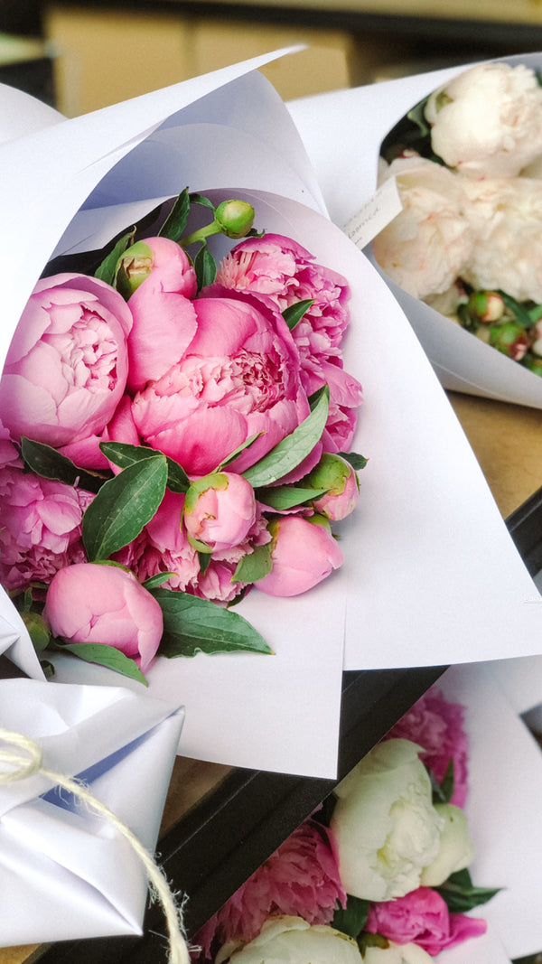 What's the Peony Party fuss all about?