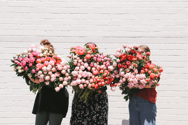 2020 PEONY PARTY IS HERE!