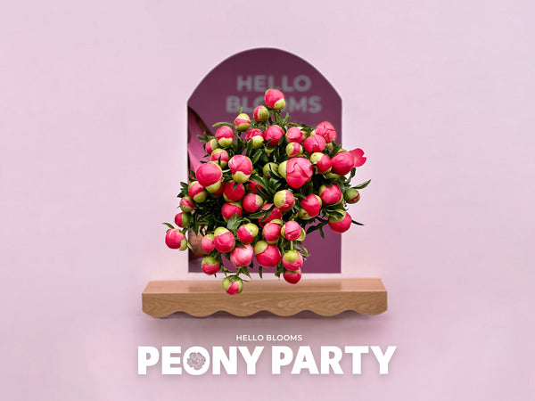 PEONY PARTY 2024