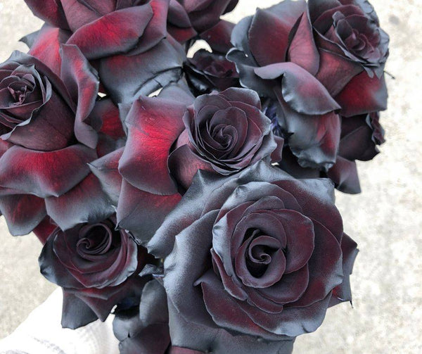All about the Black Rose