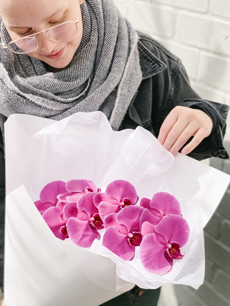 HB Picks | Phalaenopsis Stem Of The Week