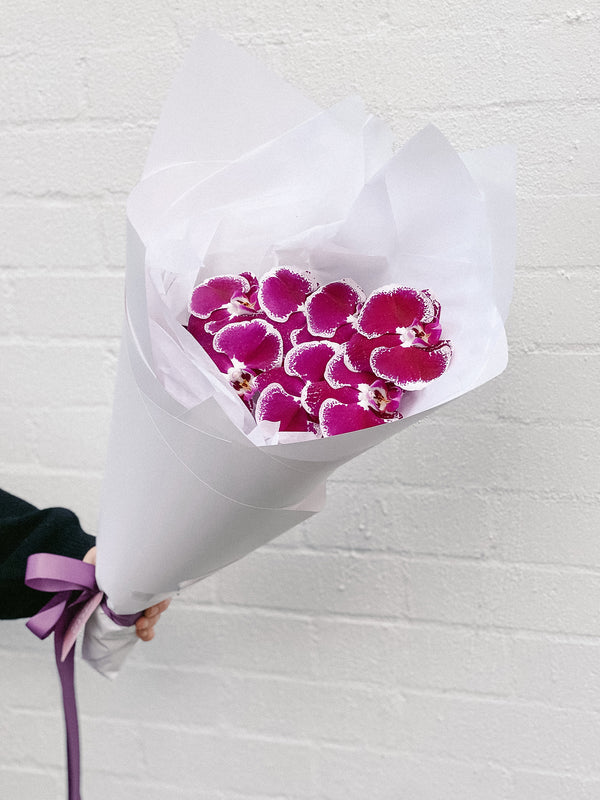 HB Picks | Phalaenopsis Stem Of The Week