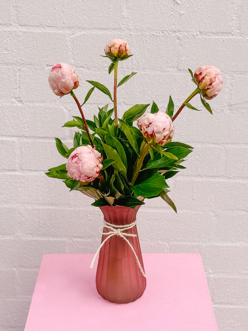 PEONY PARTY 2025 - PEONY VASE