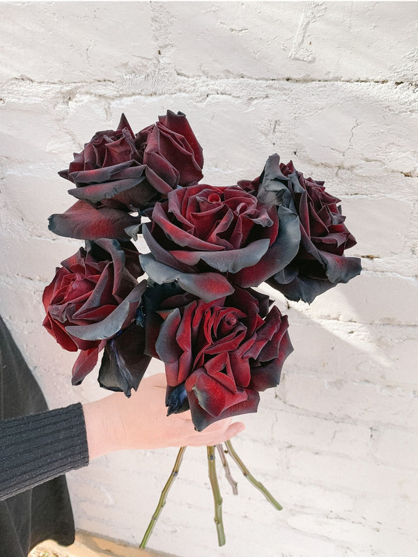 Black Roses