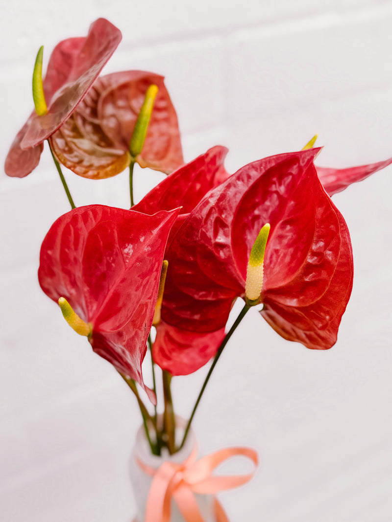 Anthurium Bud Vase