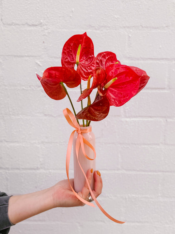 Anthurium Bud Vase