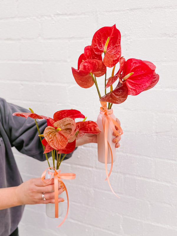 Anthurium Bud Vase