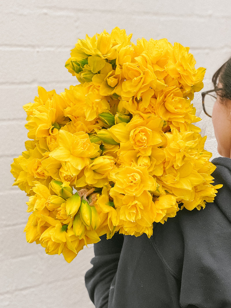 Market Blooms: Daffodils