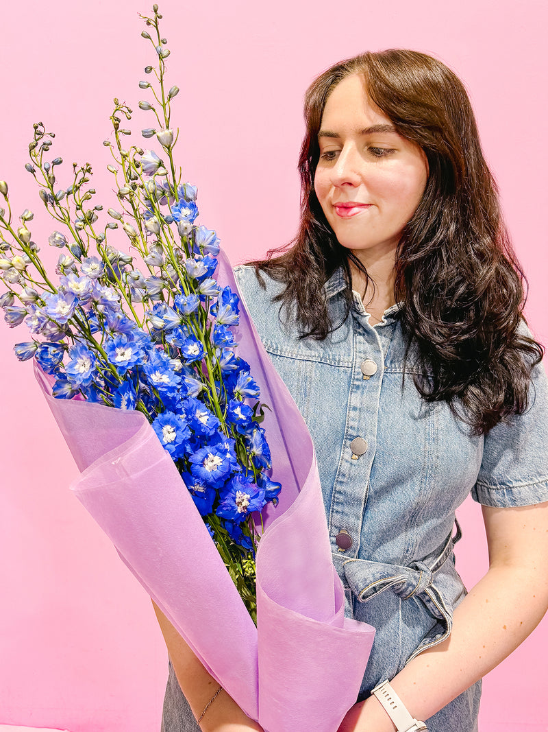 MOTHER'S DAY: Delphinium