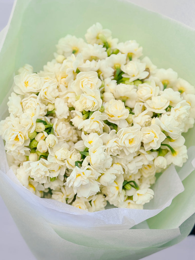 Market Blooms: Erlicheer