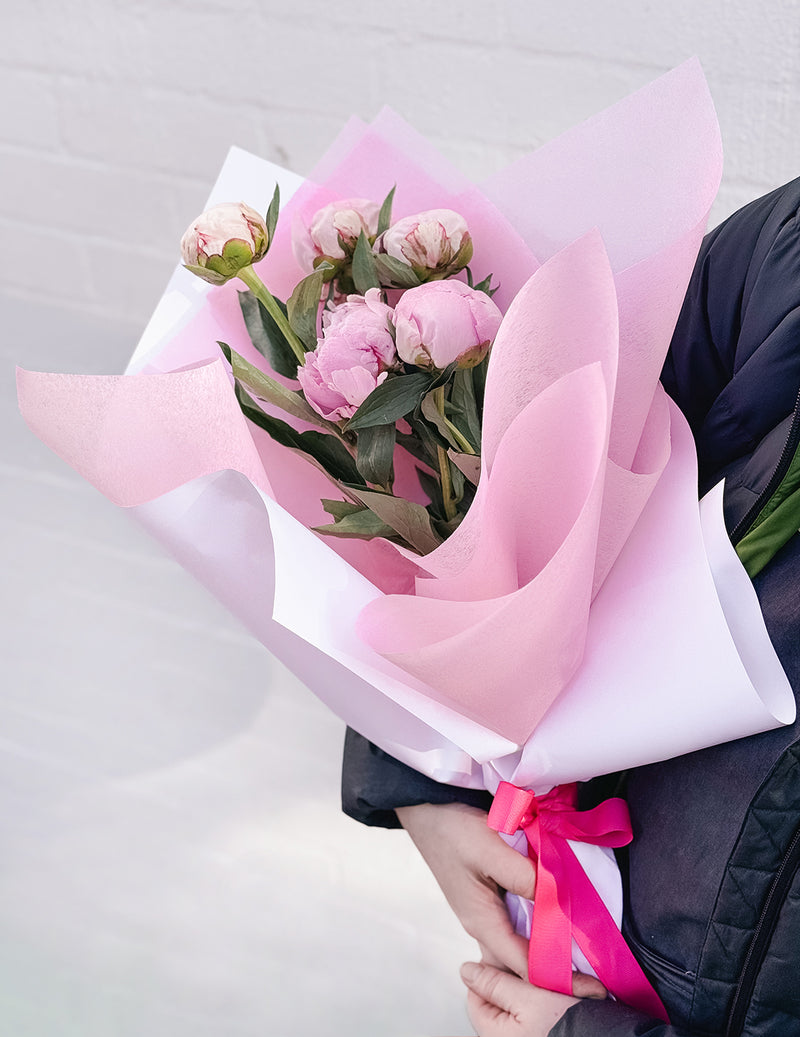 Imported Peonies