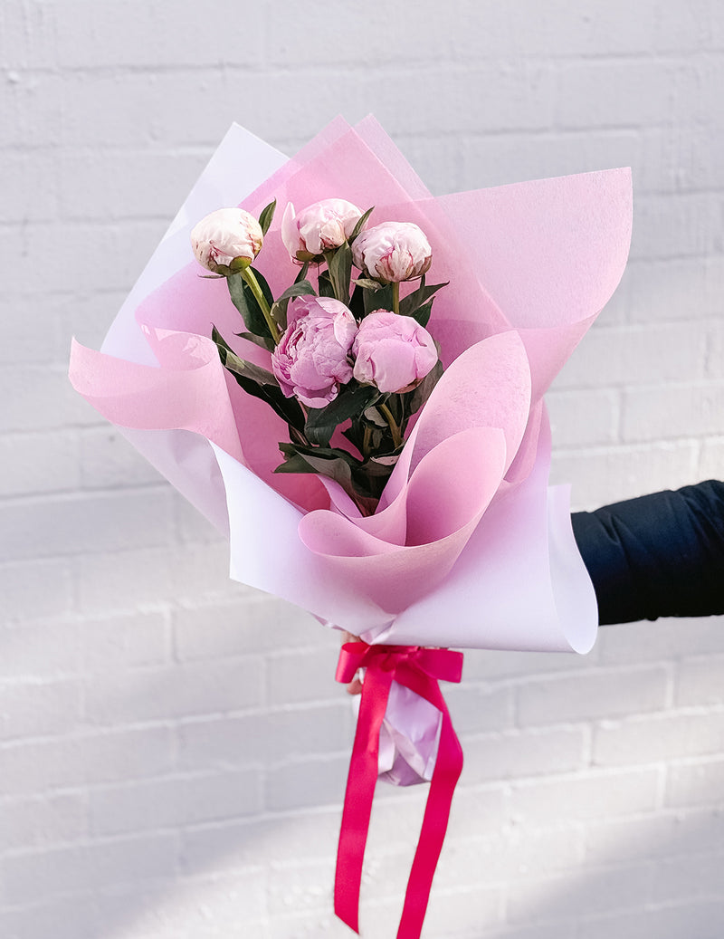 Imported Peonies