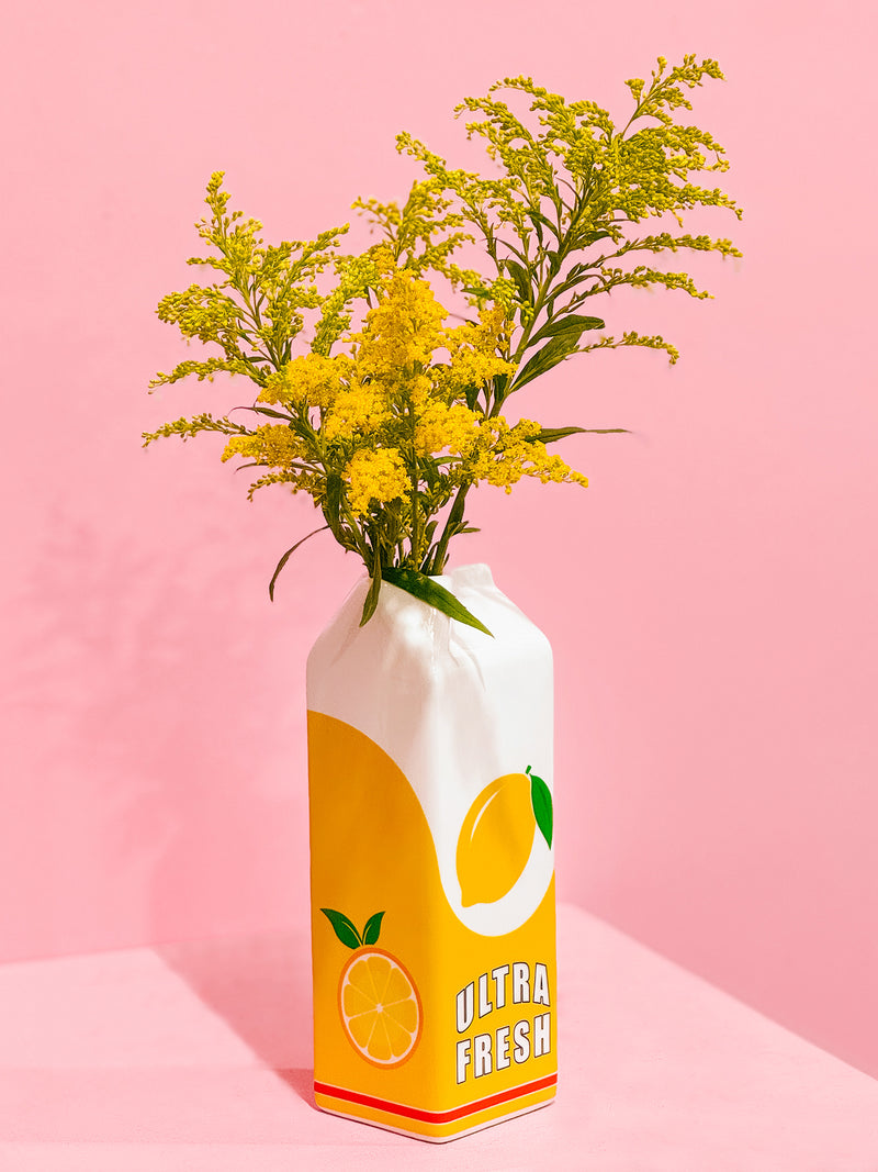 Lemonade Carton Vase