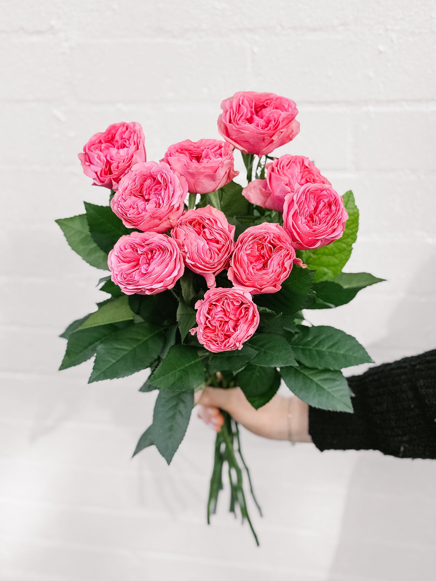 Local Roses Flower Local Grandiflora Roses | Flowers Delivered | Hello Blooms Melbourne