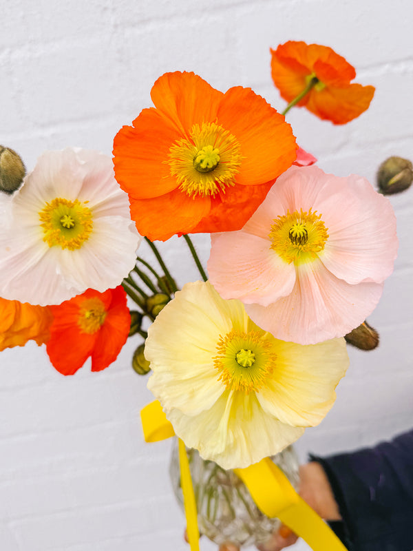 Market Blooms: Poppy Vase