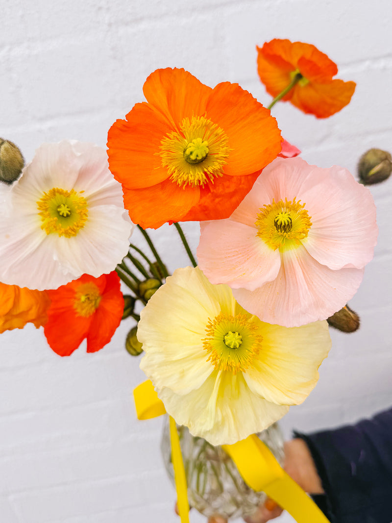Market Blooms: Poppy Vase