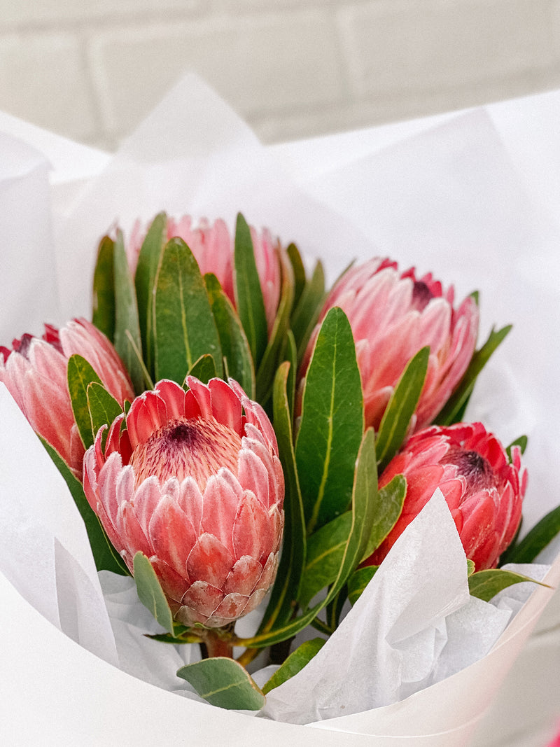 Market blooms: Proteas