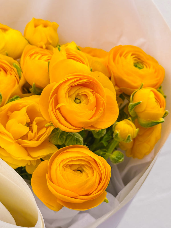 R U OK? Day Ranunculus | Thursday 11 September