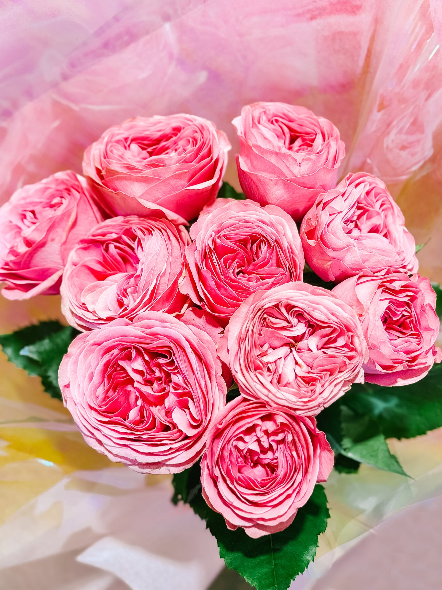 Grandiflora Roses | Valentine's Day Flowers Delivered | Hello Blooms ...