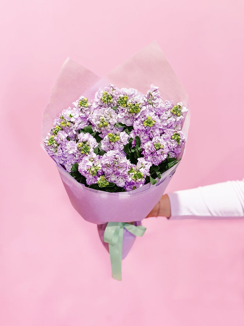 MOTHER'S DAY: Stock
