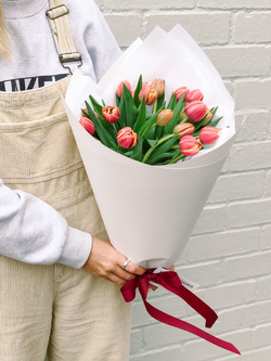 Deluxe Tulips