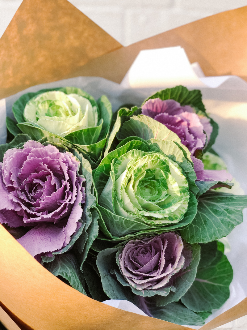 Market Blooms - Kale