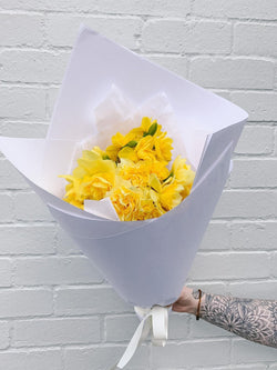 Daffodil Day - Thursday 31 August