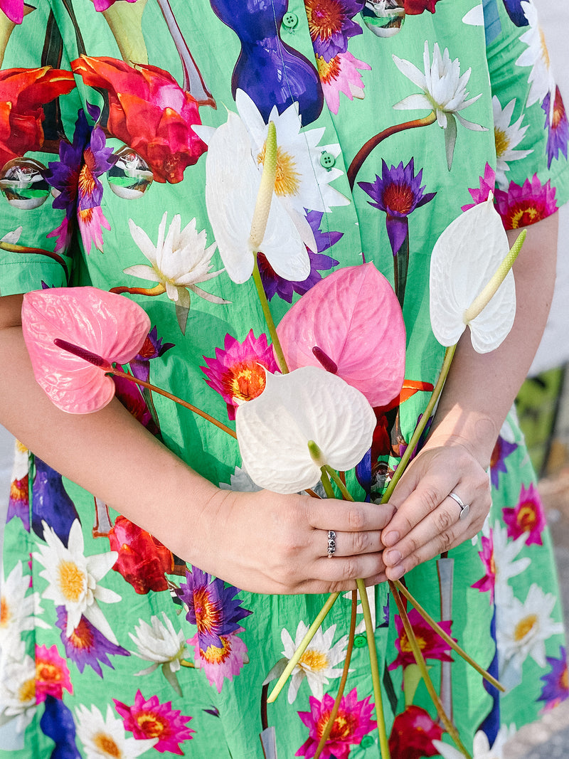 Market Blooms Anthurium Flowers Delivered Hello Blooms Melbourne