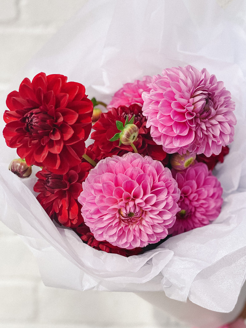 Market Blooms: Mixed Dahlias