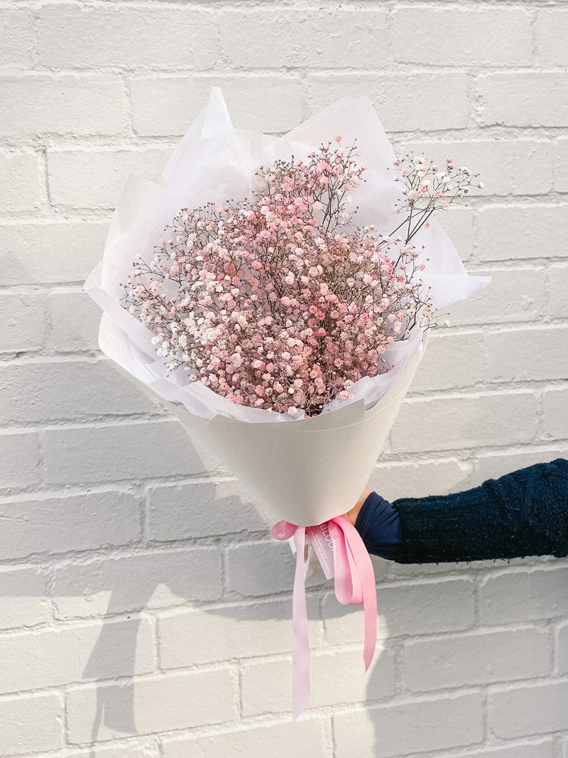 Coloured Baby's Breath, Flowers Delivered